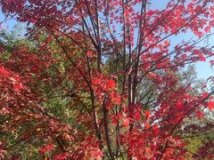 -九鼎铁刹山风景区