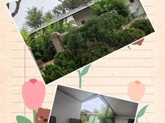 -大连蚂蚁岛度假区
