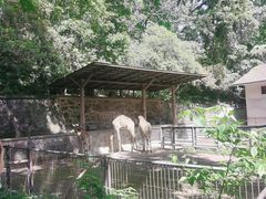-杭州动物园