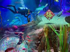 -沈阳海洋探索中心