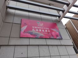 -安琪朵朵独栋花园月子中心