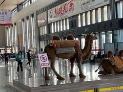 -敦煌莫高国际机场