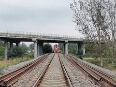 -东郊湿地公园