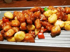 -老板恋上鱼(荣盛广场店)