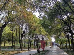 -蠡湖大桥公园
