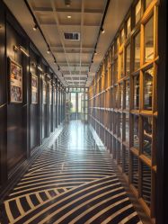 -鼎极摄影(世纪金源店)