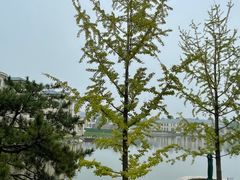 -龙熙维景国际会议中心