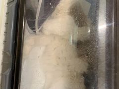 -pd派德宠物中心医院24H急重症·眼科中心·血液透析中心(嵩山北路店)