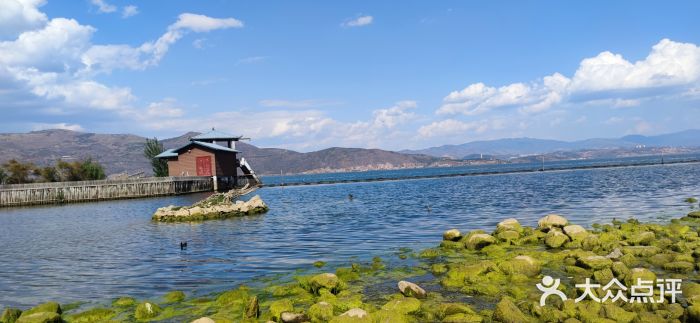 才村湿地公园图片