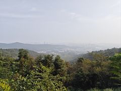 -旺山景区