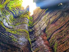 -梭布垭石林景区