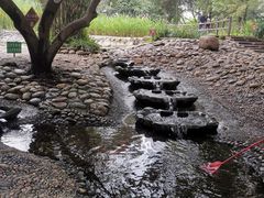 -成都市活水公园