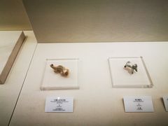 -九江市博物馆