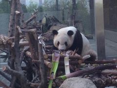 -西安秦岭野生动物园