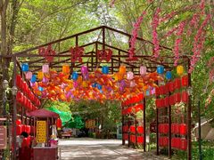 -哈密回王府景区