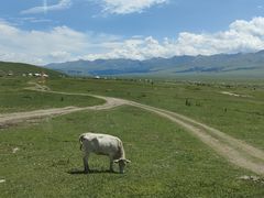 -新疆那拉提国家旅游度假区