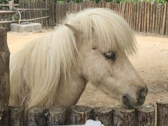 -泉州海丝野生动物世界