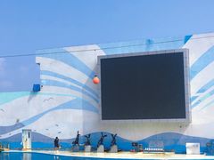 -北戴河圣蓝海洋公园