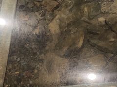 -元代水闸遗址博物馆