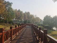 -金银湖国家城市湿地公园