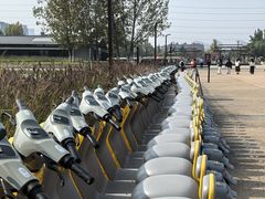 -汉长安城未央宫国家考古遗址公园