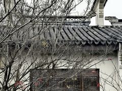 -巡塘古镇