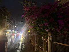 -西蒙人妖秀