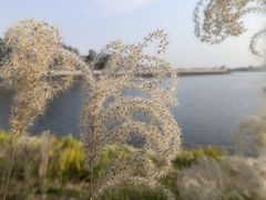-三岔湖景区