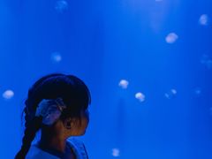 -福州罗源湾海洋世界旅游区