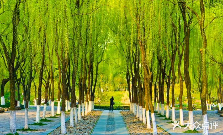 反倒成年后不大去，觉得老旧了