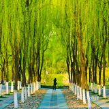 反倒成年后不大去，觉得老旧了