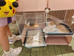 -大象厨房(重庆道店)