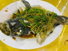 清蒸龙胆石斑鱼-四姑娘川味海鲜(八爪鱼店)