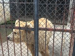 动物园-东湖公园