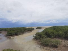 -北海金海湾红树林生态旅游区