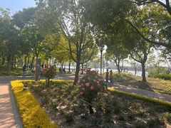 -上海山野camping·户外天幕烧烤·团建拓展营地