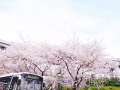 -上海南浦大桥长途旅游客运站