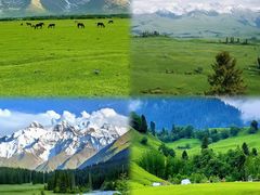 -新疆那拉提国家旅游度假区