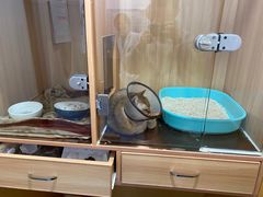 -美联众合动物医院(·中兽医·疑难杂症·严家桥分院)