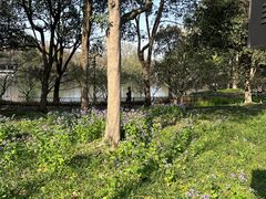 -杭州张苍水先生祠