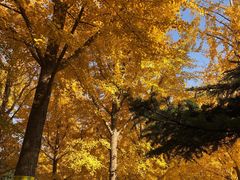 -中华世纪坛-停车场