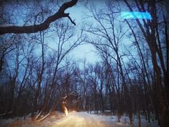 -北极村旅游风景区