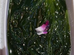 -千牛将·鲜牛肉火锅(开元路店)