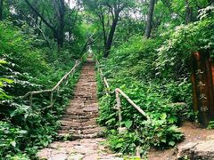 -三块石国家森林公园