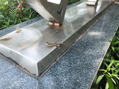 -万绿园