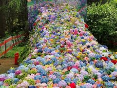 -共青国家森林公园-售票处