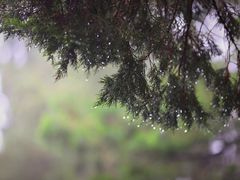 -北平小馆·烤鸭·家常菜(磨房北里店)