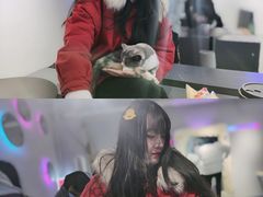 -极木²邸 人与宠物·互动社区