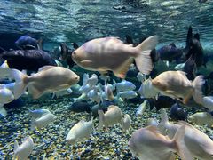 -成都浩海立方海洋公园