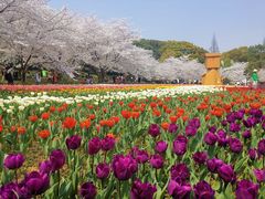 -苏州上方山国家森林公园